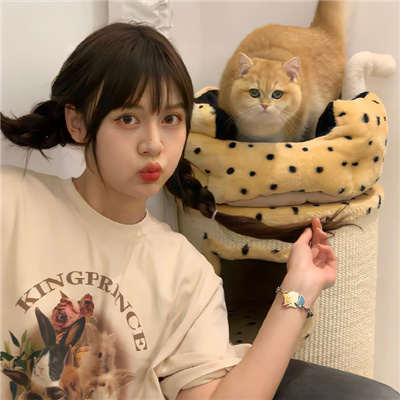 嘉善伴游女生星晓莉的资料